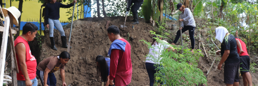 Levelling of Soil to Enhance DOPI Mini-Organic Farm